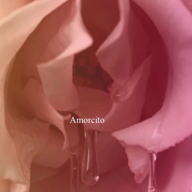 Mamacita Lexi profile banner