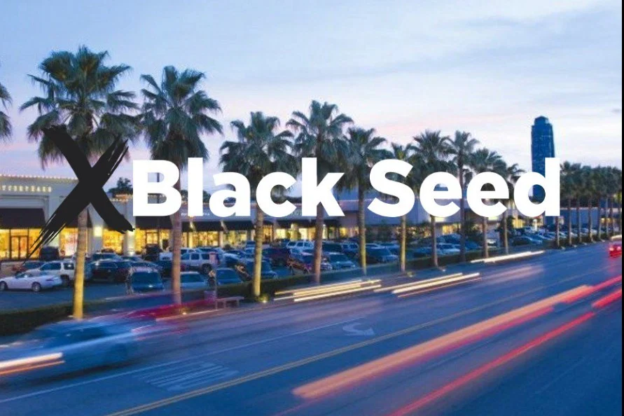 XBlack Seed Club ♠️ profile banner