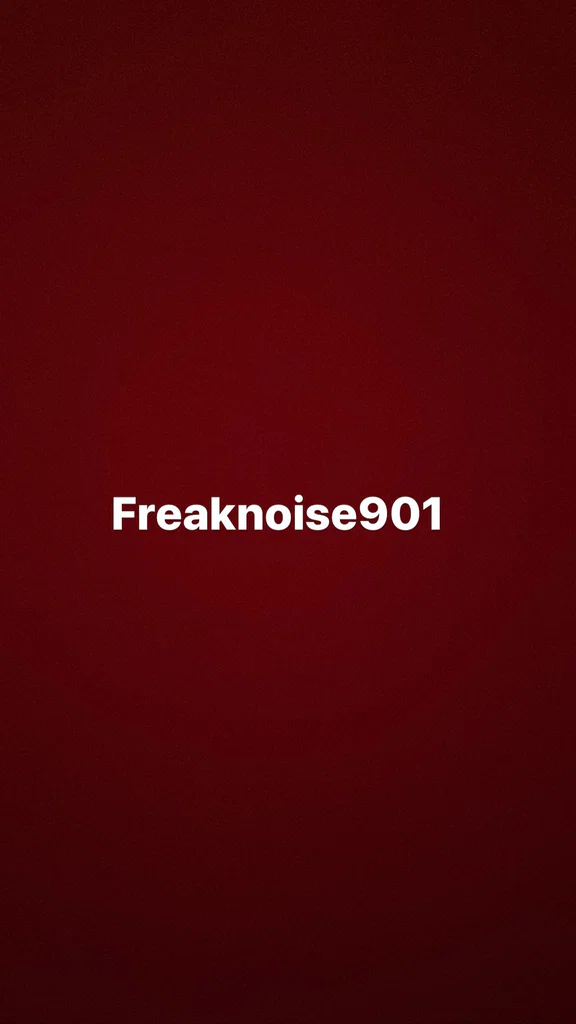 Freaknoise901