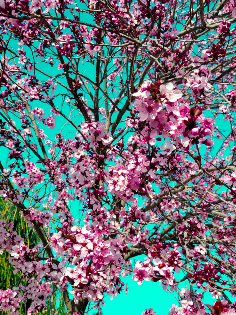 Maddawg profile banner