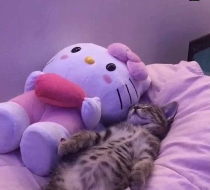 NaNoosie profile banner