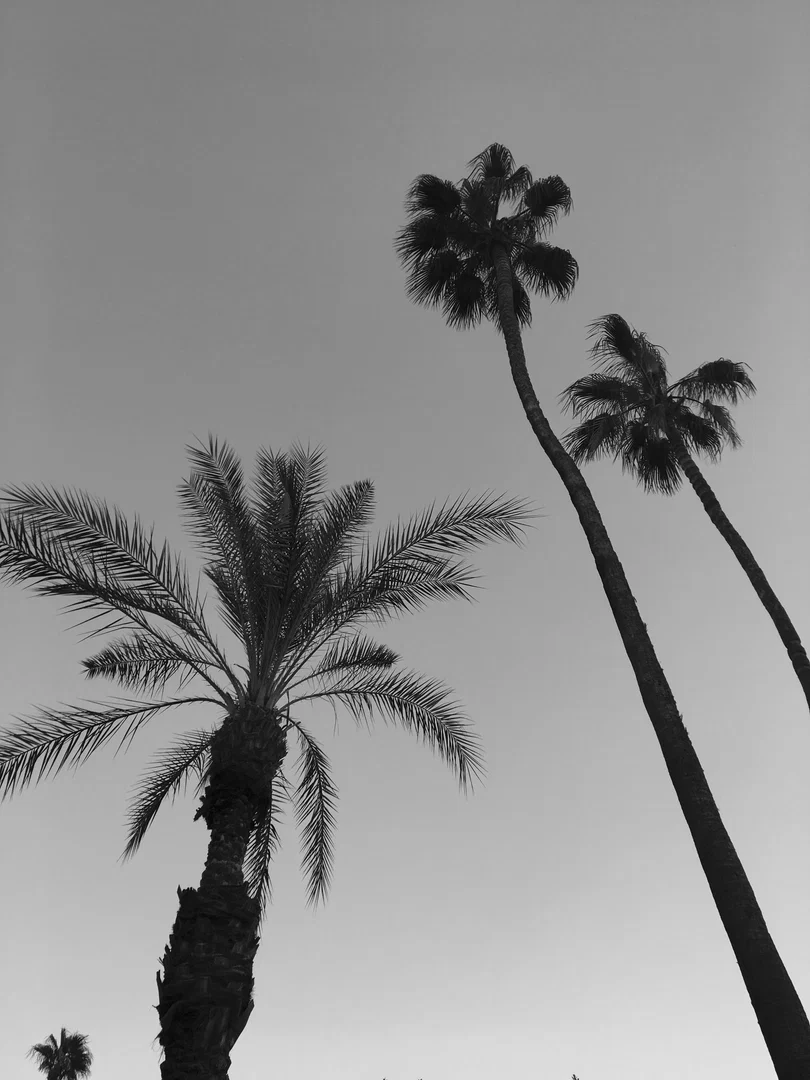 SK8TWNK profile banner