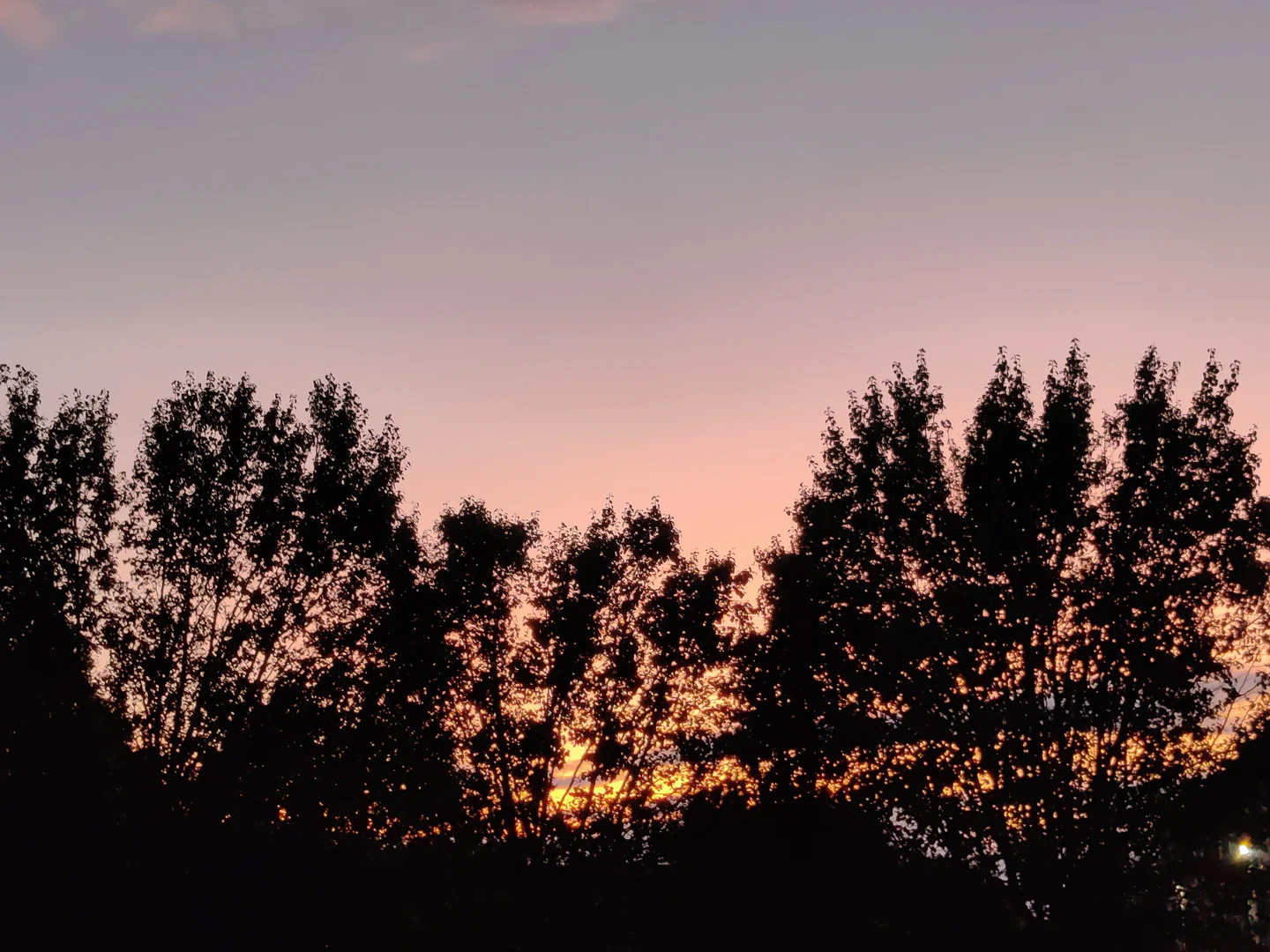 Juliet Night profile banner