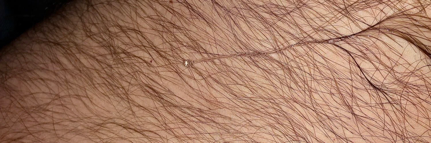 HairyAlaskanArtist profile banner