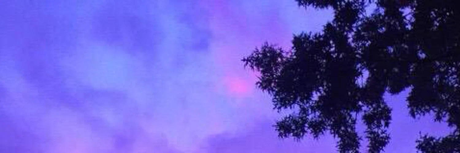 Sam π profile banner