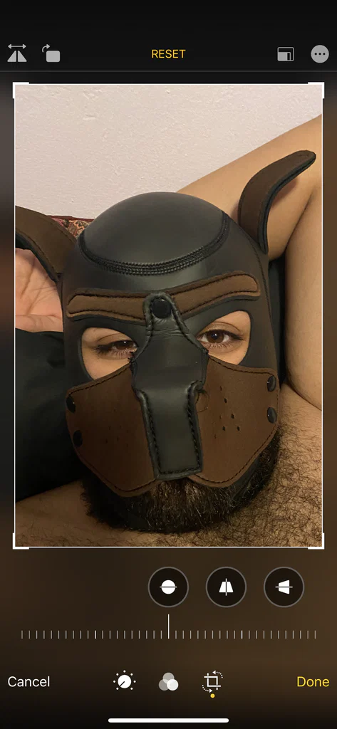 Scruffy's avatar