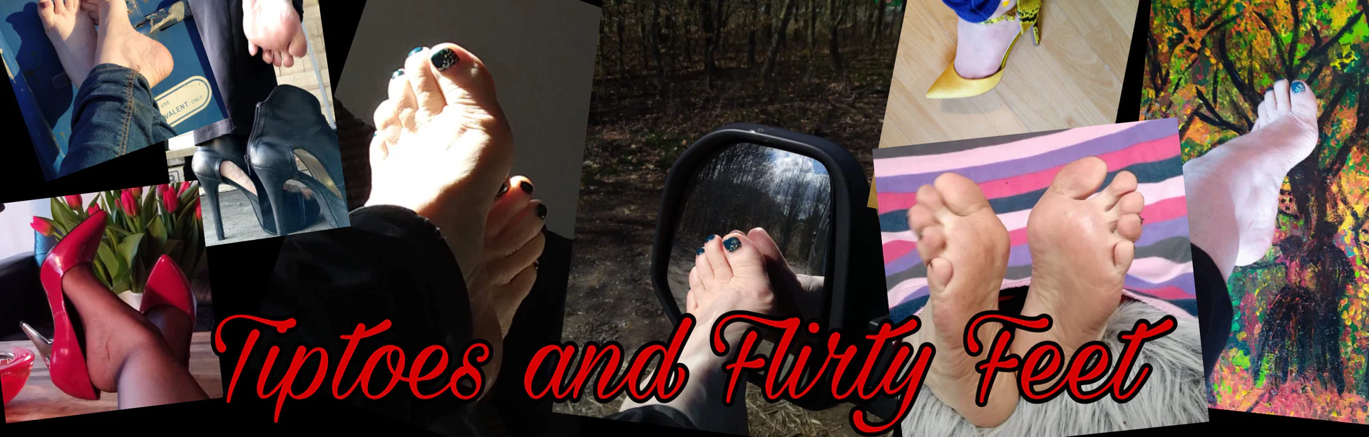 Tiptoes profile banner