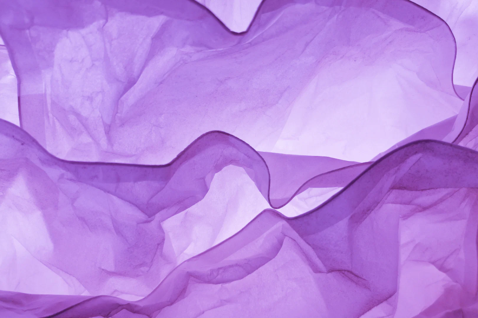 Sammi Violet profile banner