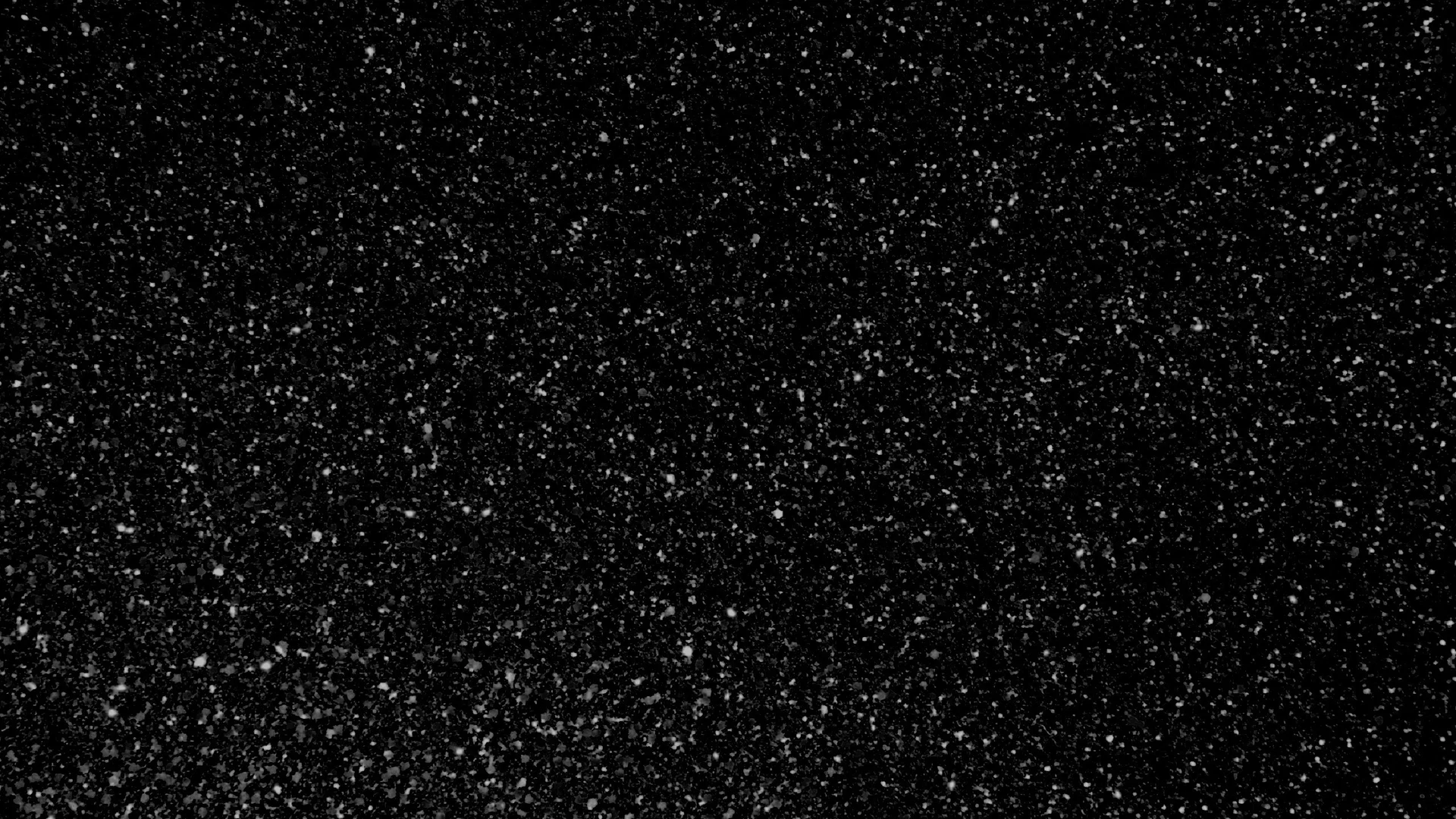 Daniela profile banner