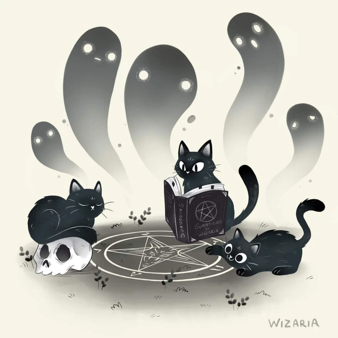 Kittysepulcher profile banner