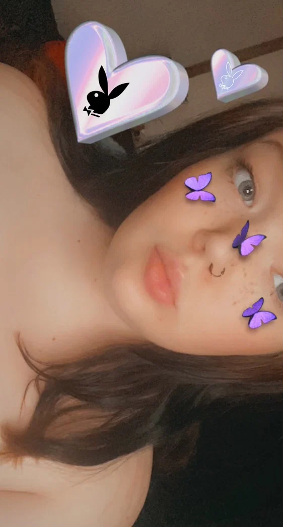 Lizzy lizards 🦎 profile banner