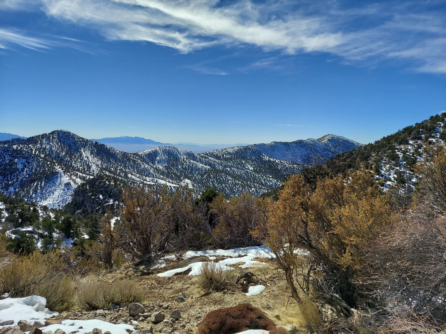 Asher Reeves profile banner