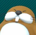 Wll's avatar
