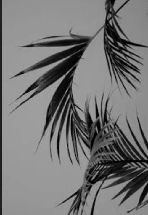 FAYE Mayshh profile banner