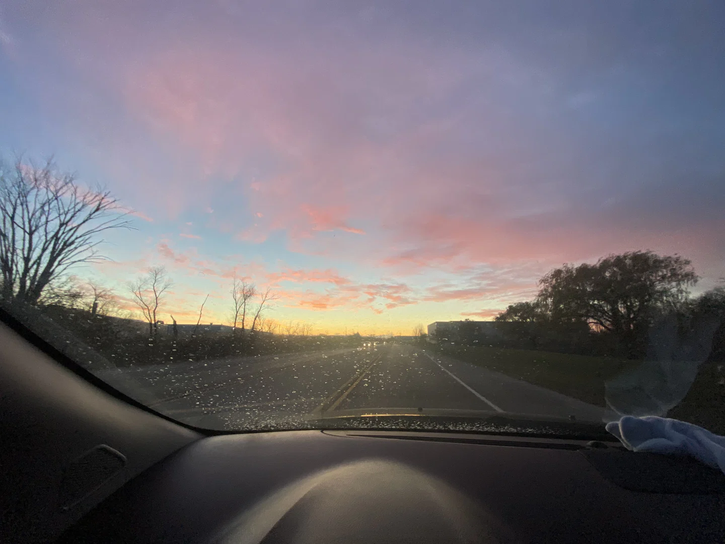 Ginger profile banner