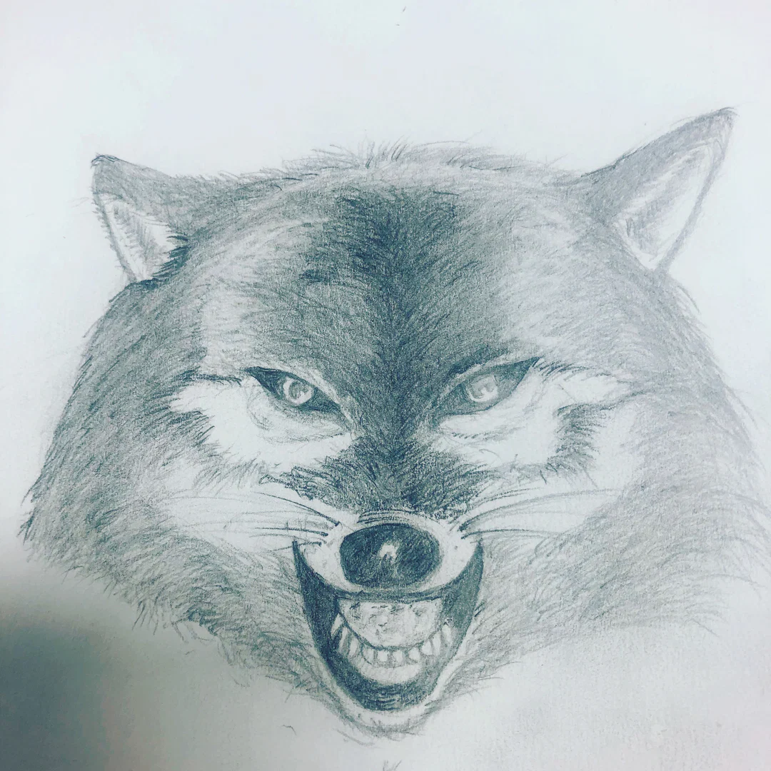 Wolfers37 profile banner