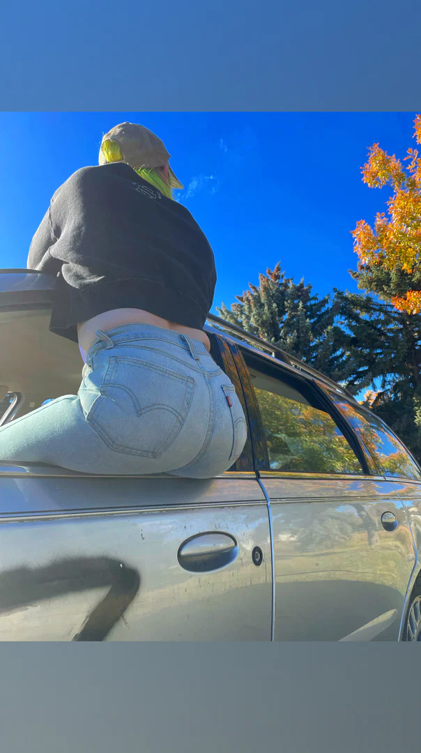 Ashley profile banner