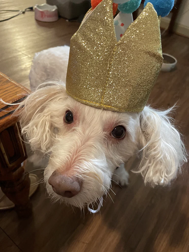 Marley's avatar