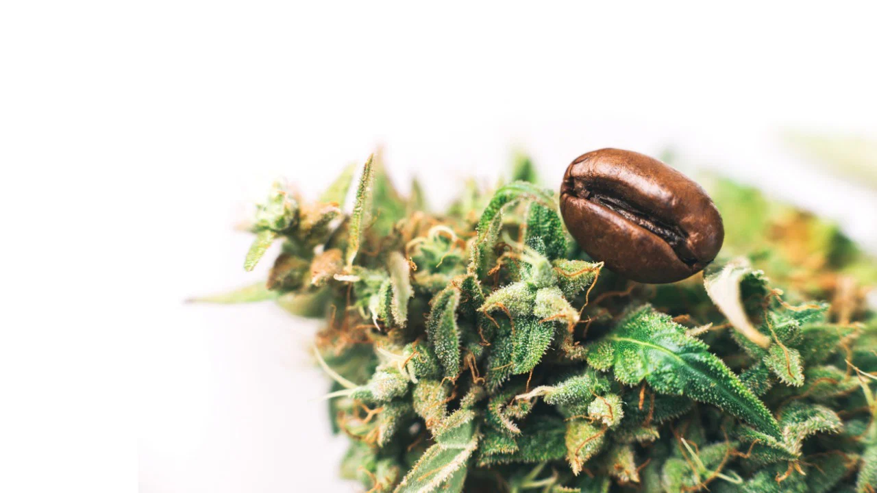 CB420 profile banner