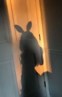 Kelly Delight's avatar