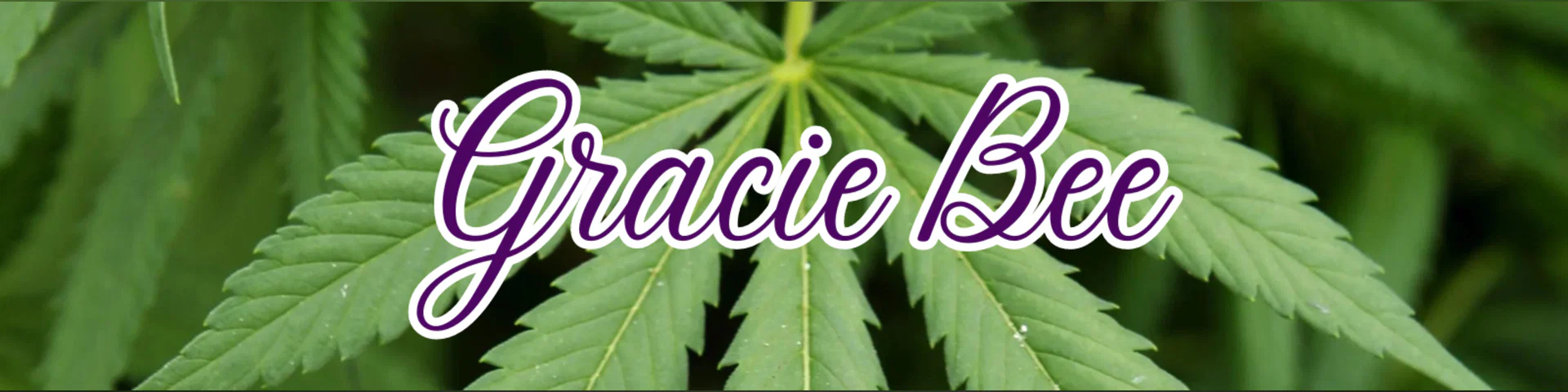 Grace Bee π β€οΈ profile banner
