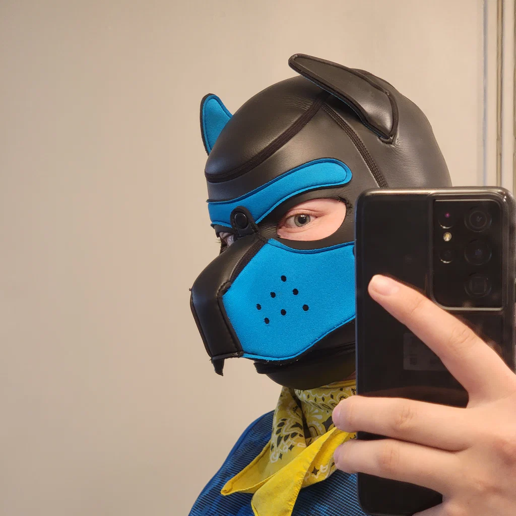 Pup Mystery