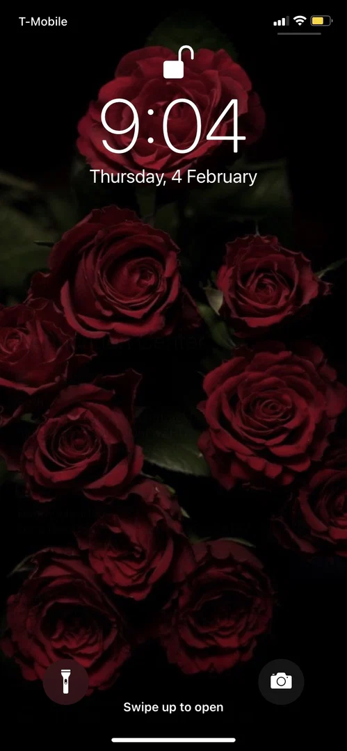 Afropapii🌹 profile banner
