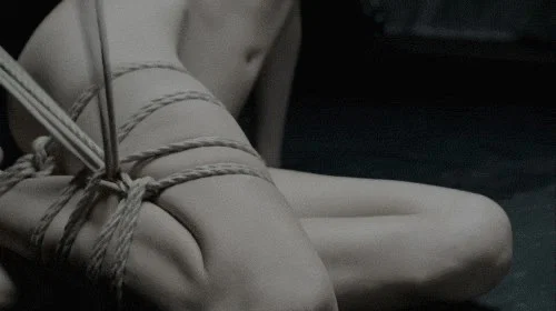 KittyKate profile banner