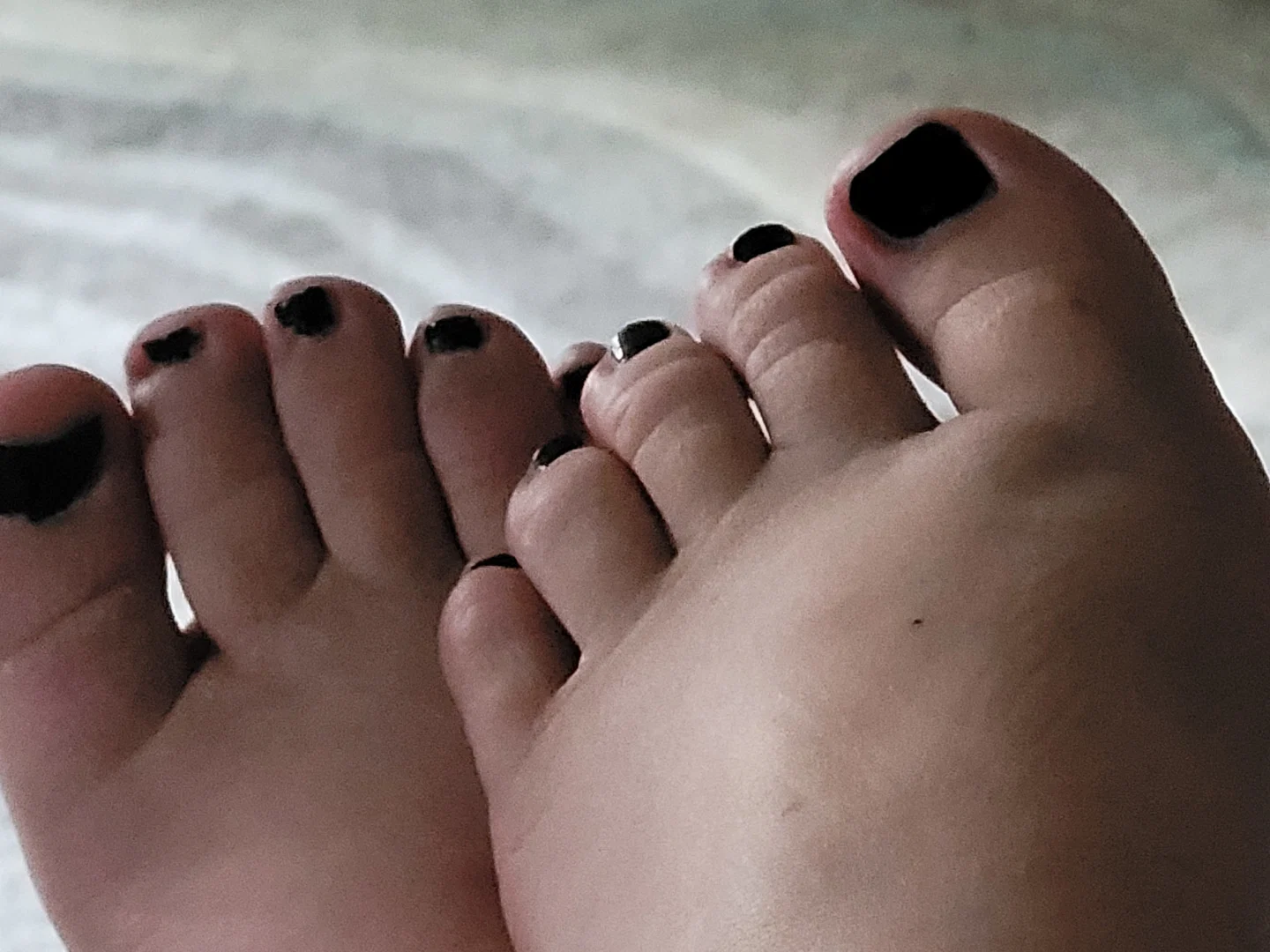 Voilet Feilds profile banner