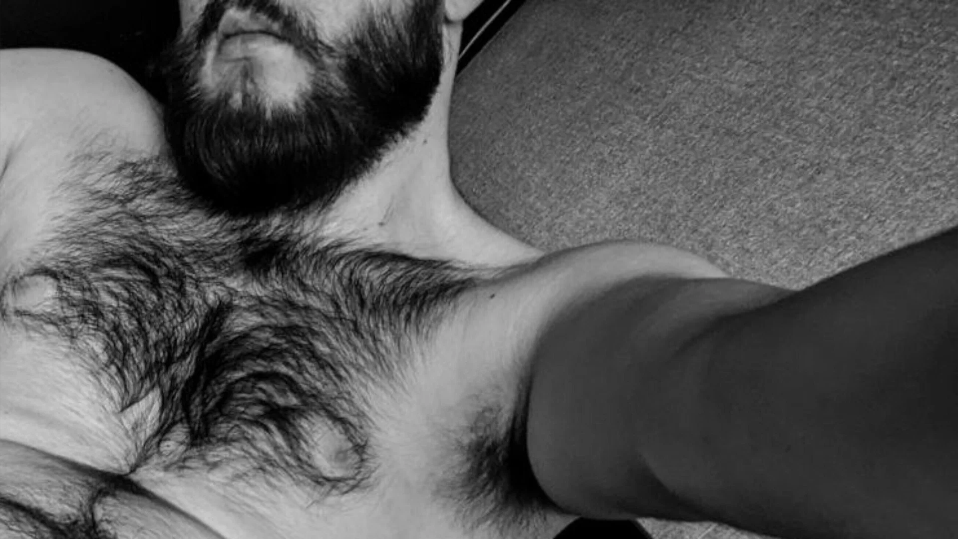 D profile banner