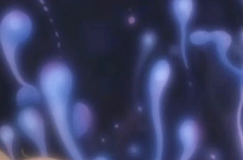 mary magdalene profile banner