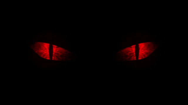 Evil Kittens profile banner