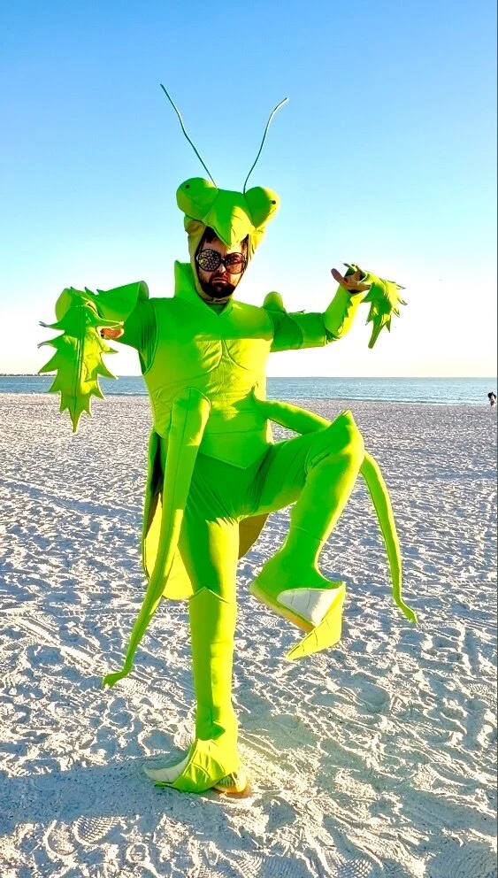 Joe Seul's avatar