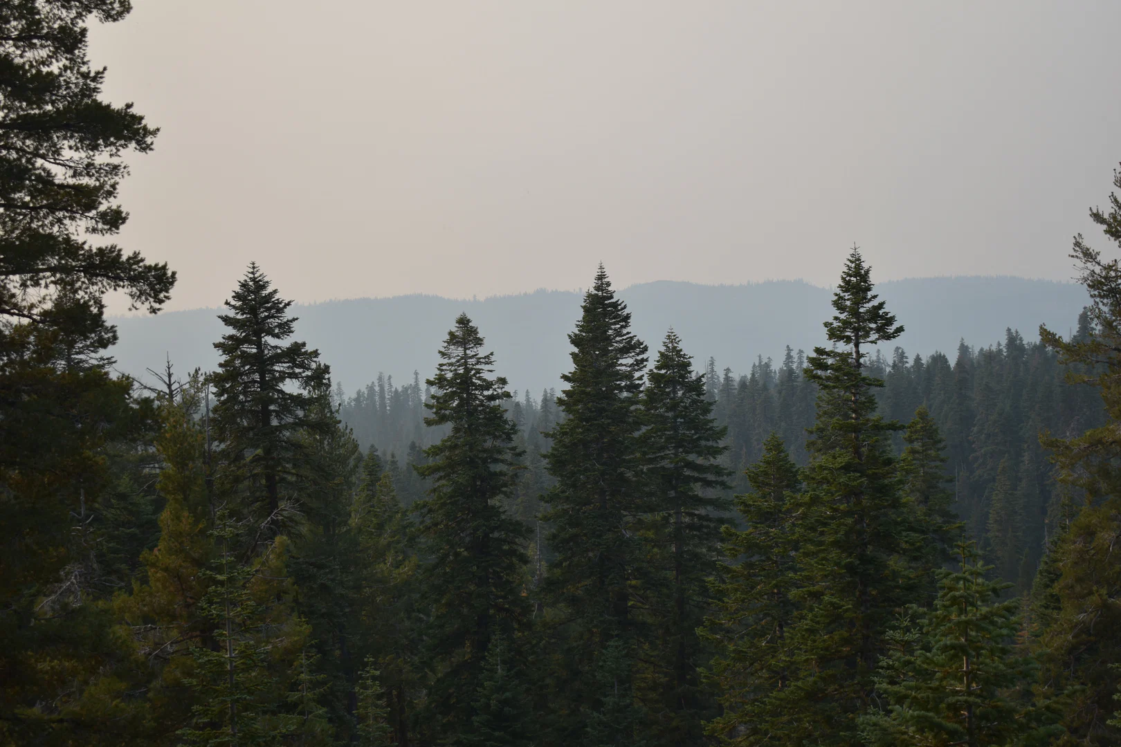 ä profile banner