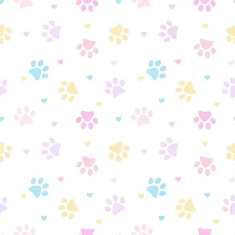 bun⋆˚🐾˖° profile banner