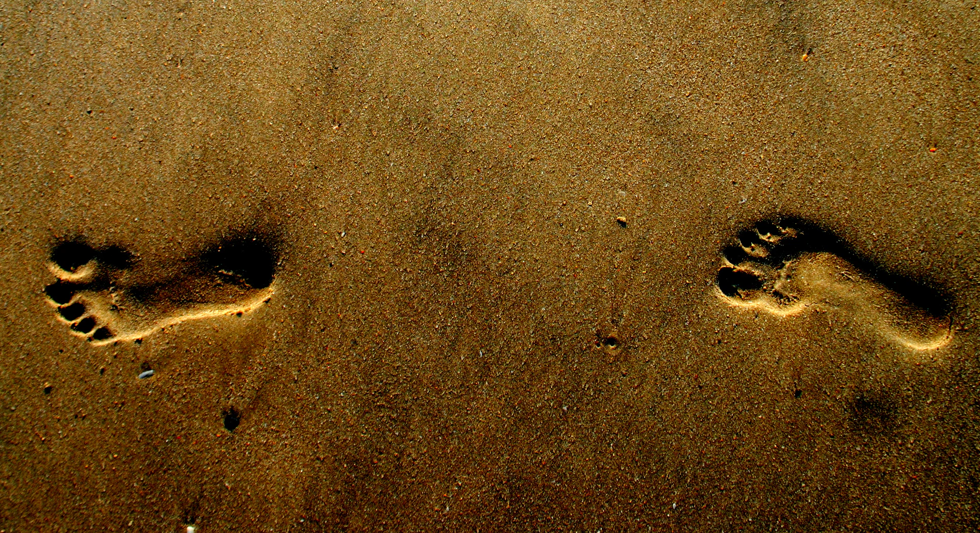Little Special Feet π£ profile banner