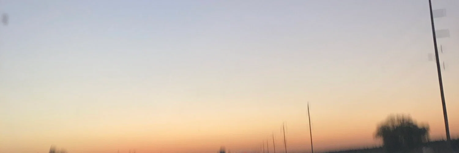 laboi profile banner