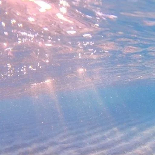 ππππ ππππ ππΌππ π profile banner