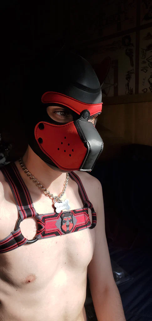 Pup Crixus's avatar