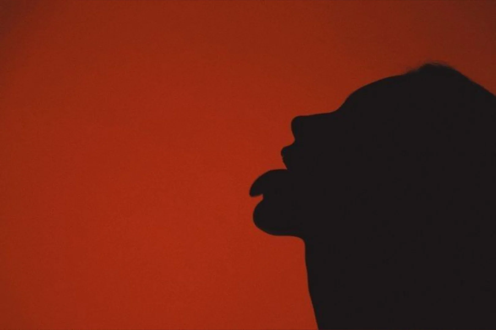 VelvetVixxen profile banner