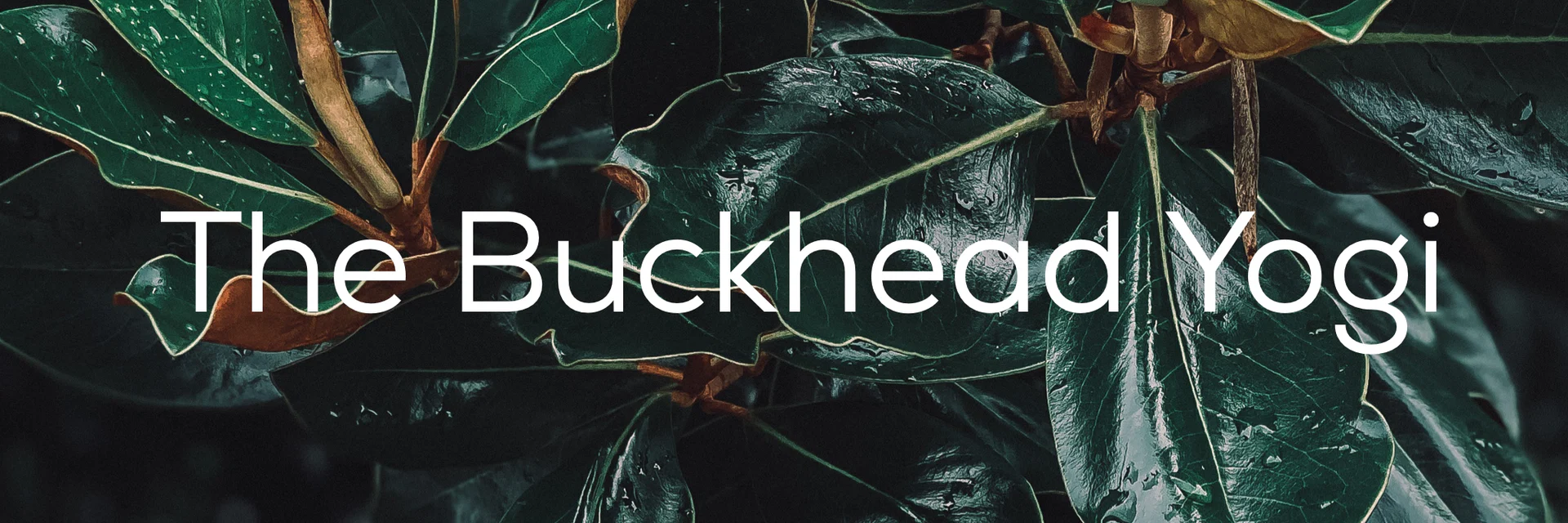 TheBuckheadYogi profile banner