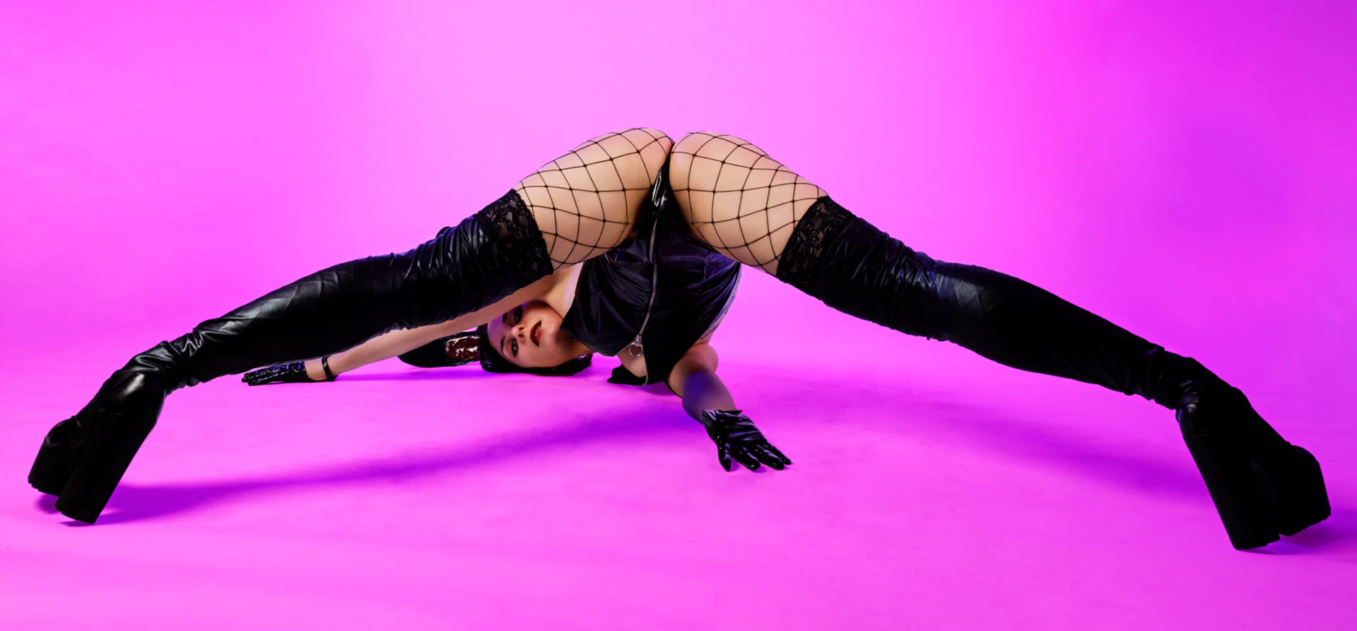 Madame Vinca profile banner