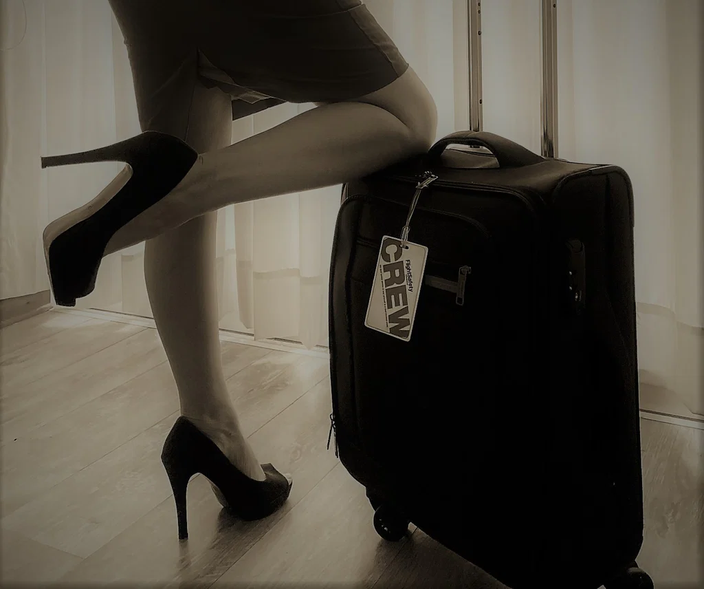 My Last Flight's avatar