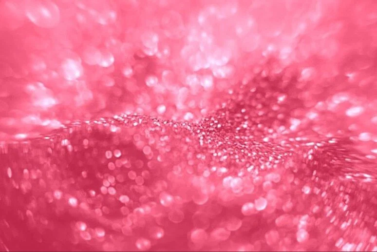 Lotus Rose profile banner
