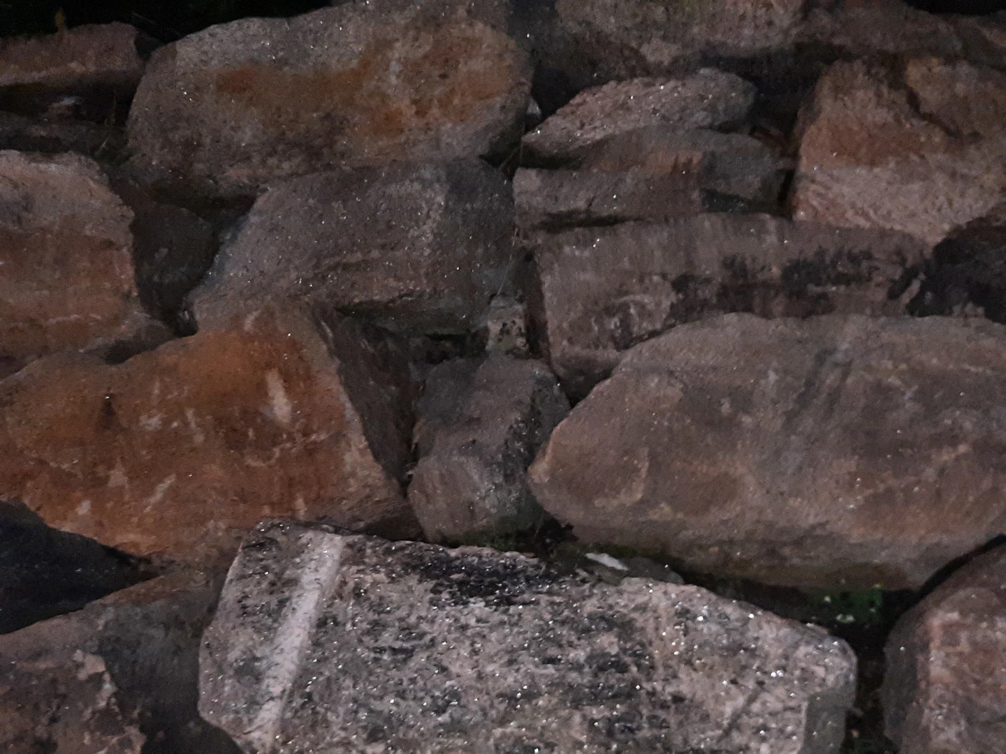 jay profile banner