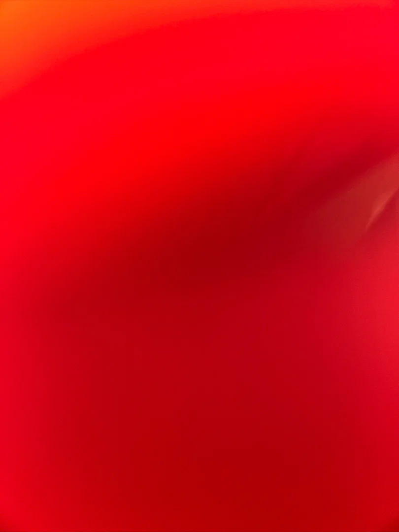 freak nasty bbw 🤪 profile banner