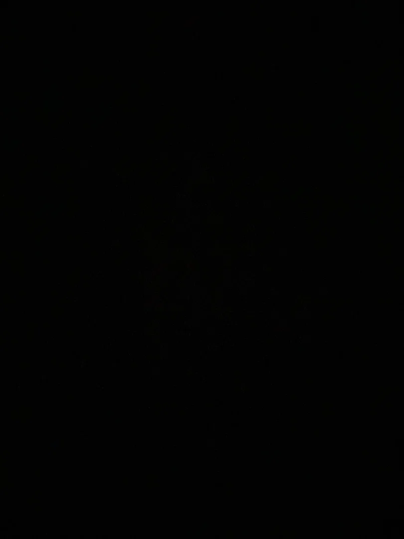 Cat Name Jody profile banner