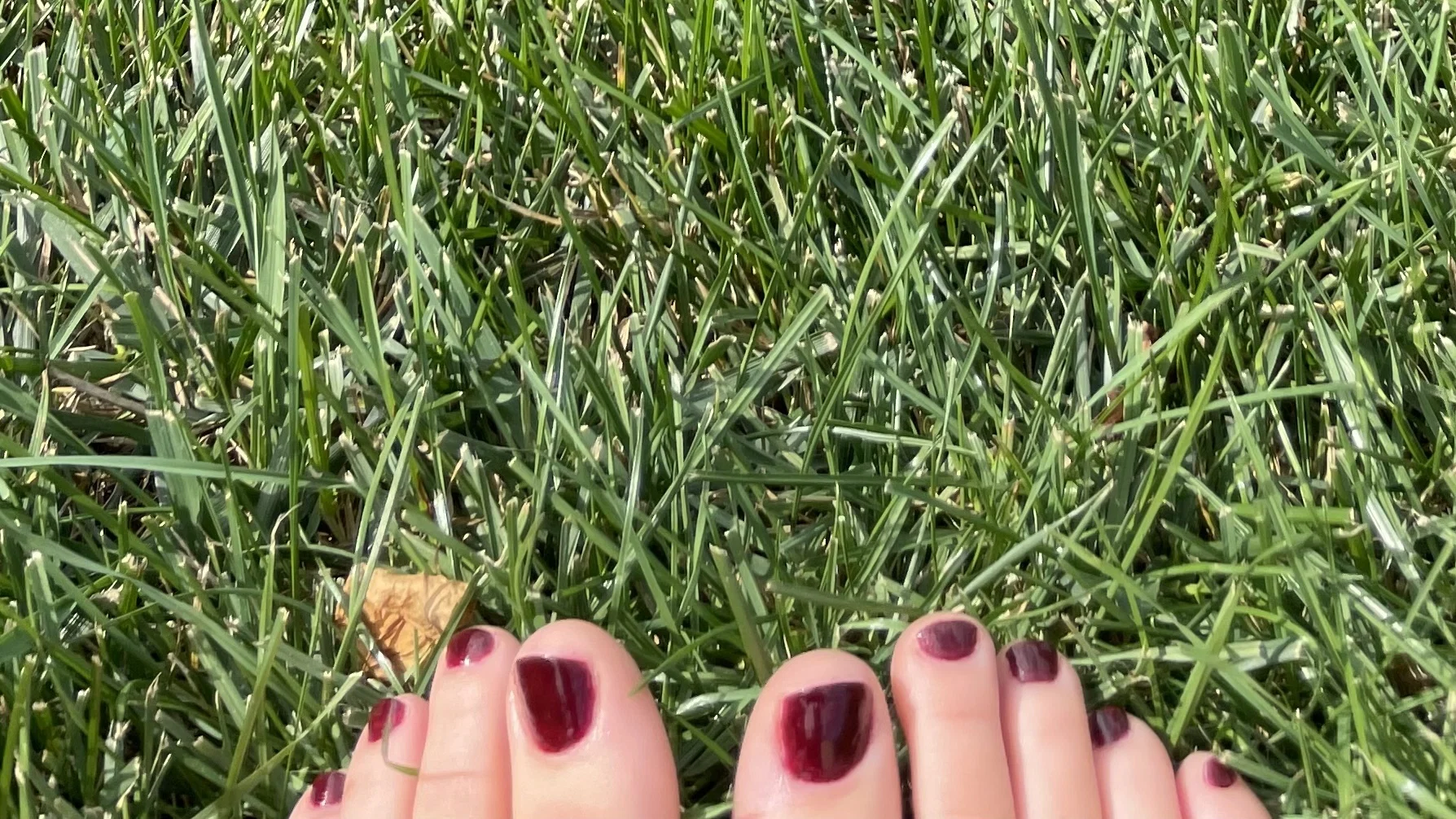 Toe-ja Cat profile banner