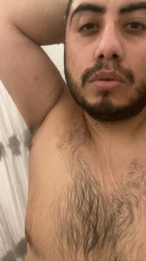 Bussy Bear