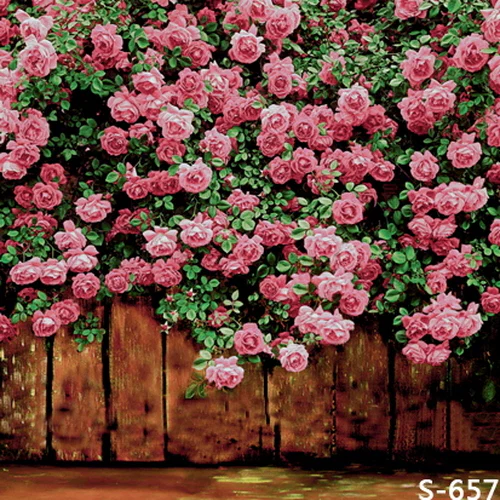 Ali’s Foot Pics🦶🏼🌸 profile banner